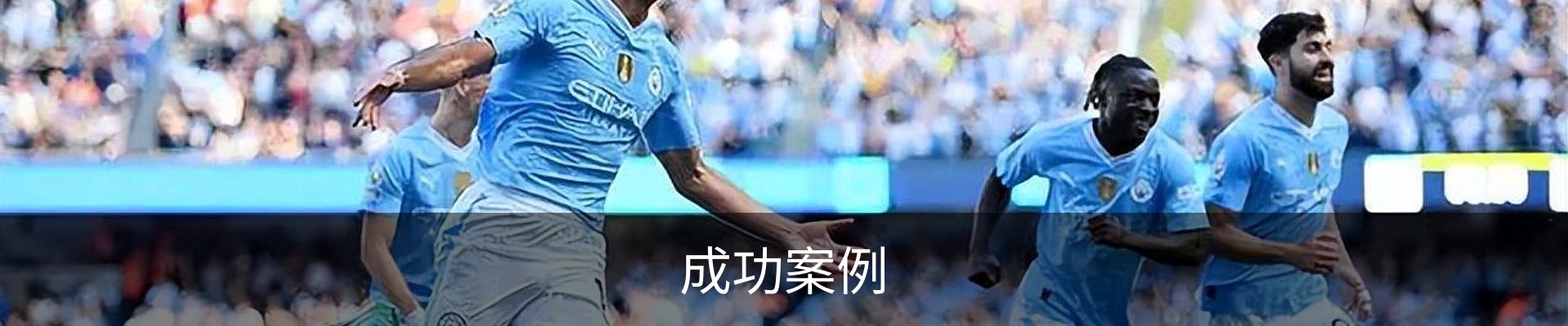 成功案例